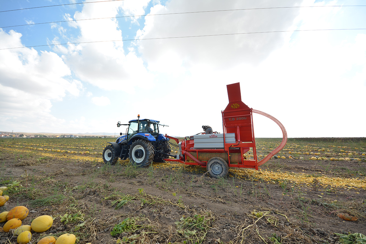 T.D. 2900 Pumpkin Seed Extracting Machine