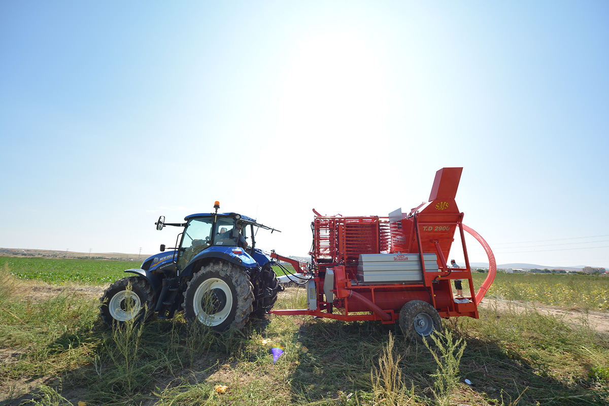 T.D. 2900 Pumpkin Seed Extracting Machine