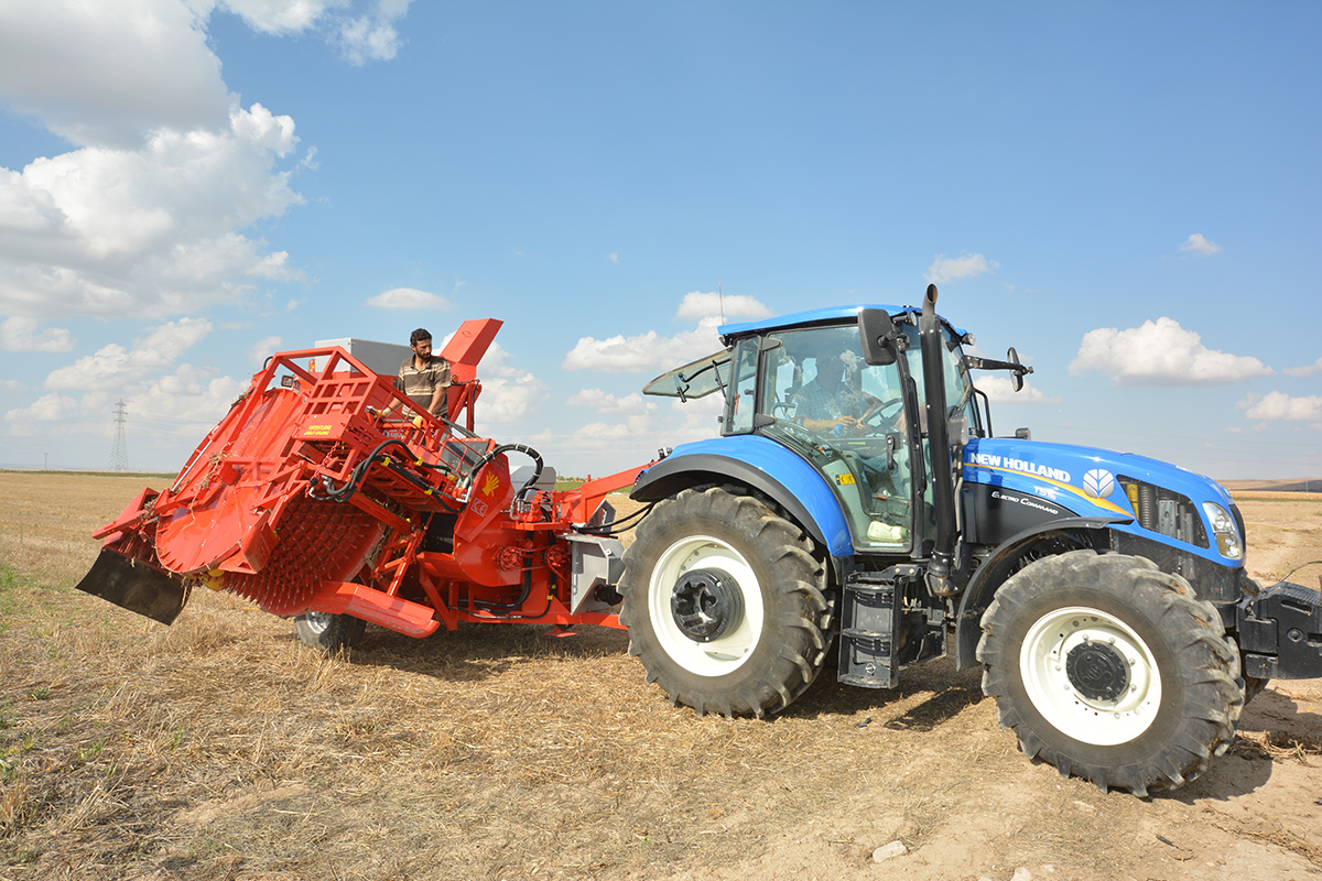 T.D. 2900 Pumpkin Seed Extracting Machine