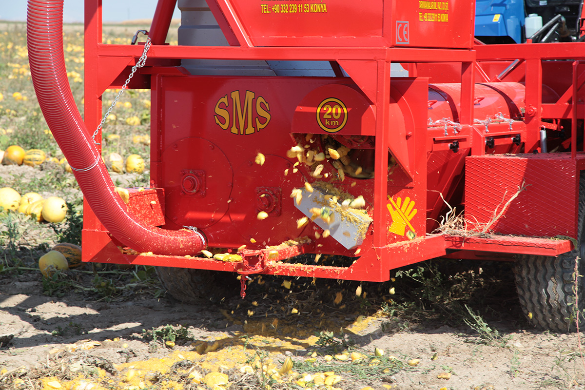 T.D. 2900 Pumpkin Seed Extracting Machine